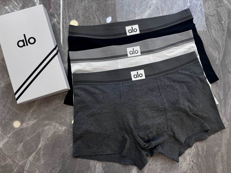 Alo boxer 110215